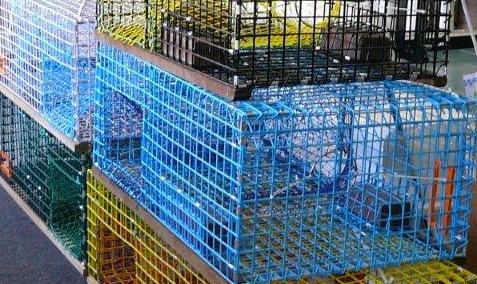 Lobster traps at Three Lantern Marine and Fishng supply